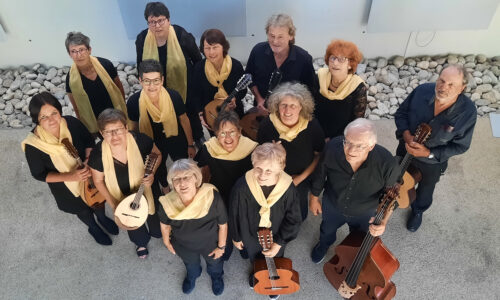 2026-02-09 Bild Mandolienenorchester